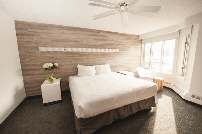 Imagen de la habitación del Hotel The Elk and Avenue. Foto 7