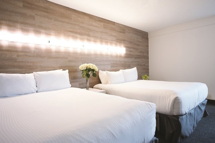 Imagen de la habitación del Hotel The Elk and Avenue. Foto 9