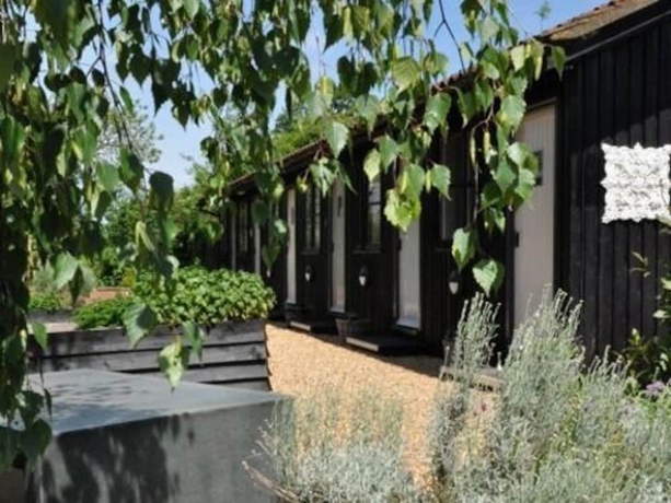 Imagen general del Hotel The Eltisley. Foto 4