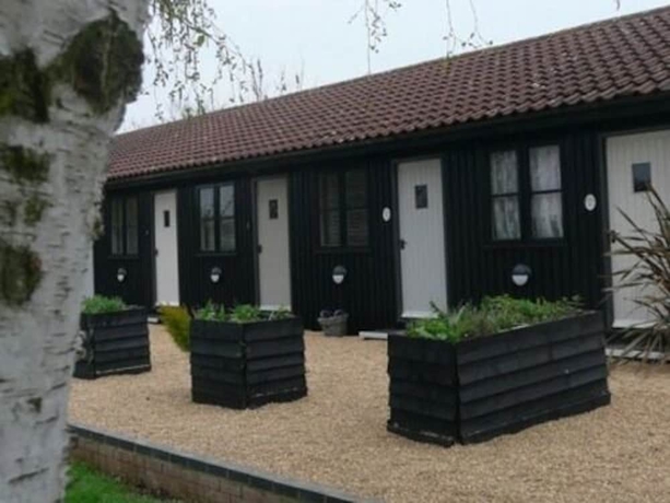 Imagen general del Hotel The Eltisley. Foto 5