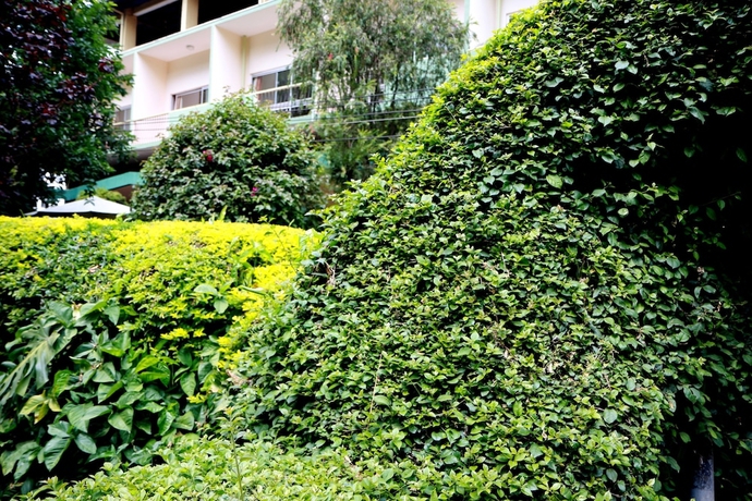 Imagen de los exteriores del Hotel The Equator. Foto 13