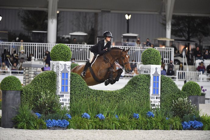 Imagen general del Hotel The Equestrian. Foto 3