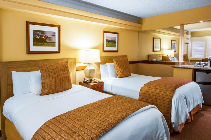 Imagen de la habitación del Hotel The Equus. Foto 2