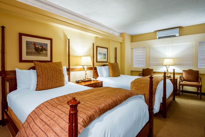 Imagen de la habitación del Hotel The Equus. Foto 3