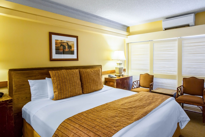 Imagen de la habitación del Hotel The Equus. Foto 9