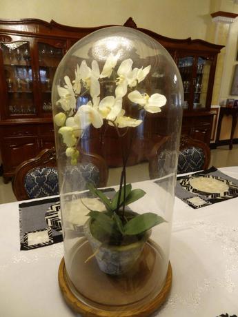 Imagen general del Hotel The Executive Villa Inn and Suites. Foto 5