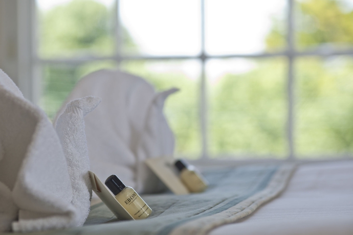 Imagen de la habitación del Hotel The Falcon. Foto 10