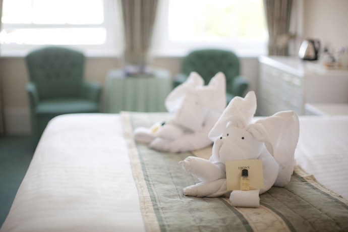 Imagen de la habitación del Hotel The Falcon. Foto 11