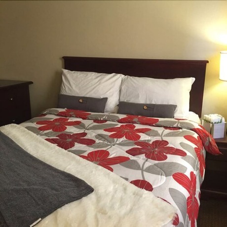 Imagen general del Hotel The Falls A Family Lodge. Foto 3