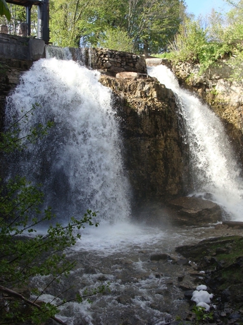 Imagen general del Hotel The Falls Inn - Walters Falls. Foto 1