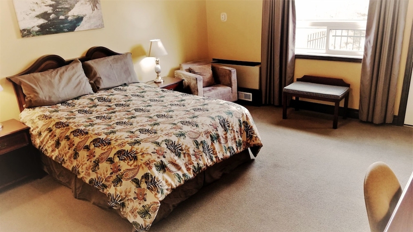 Imagen de la habitación del Hotel The Falls Inn - Walters Falls. Foto 11