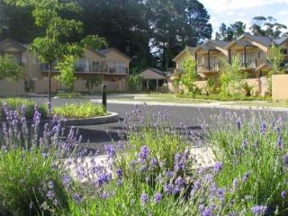 Imagen general del Hotel The Falls Mountain Retreat. Foto 3
