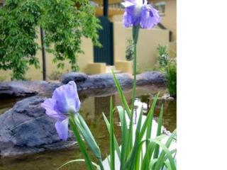 Imagen general del Hotel The Falls Mountain Retreat. Foto 19