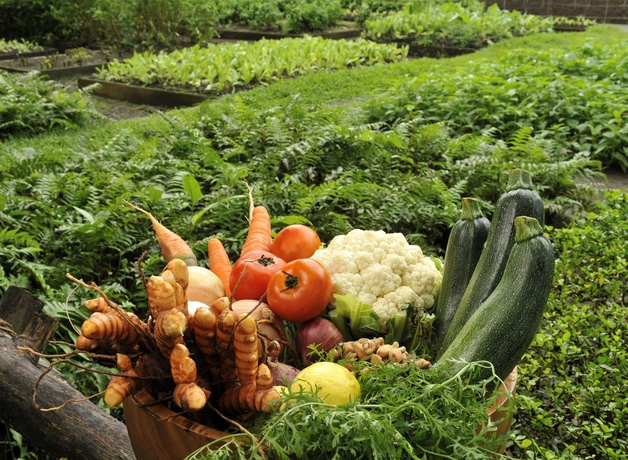Imagen de los exteriores del Hotel The Farm At San Benito. Foto 11
