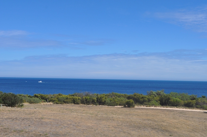 Imagen de los exteriores del Hotel The Fig Tree B and B. Foto 11