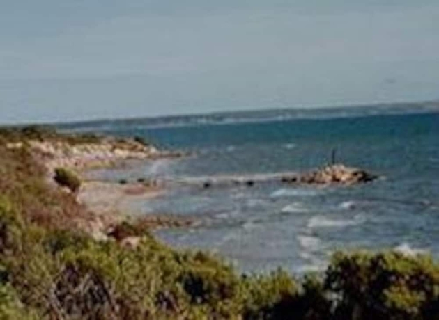 Imagen de los exteriores del Hotel The Fig Tree B and B. Foto 12