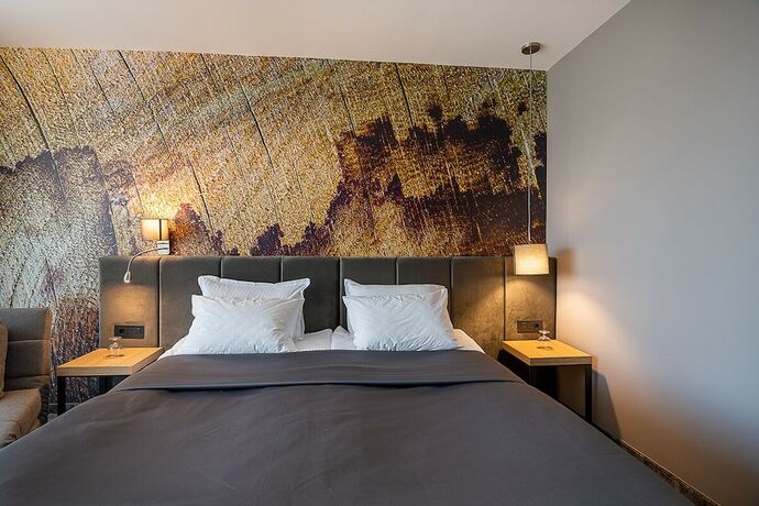 Imagen de la habitación del Hotel The Five Elements Hotel. Foto 21