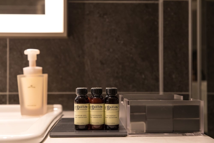 Imagen de la habitación del Hotel The Flag Shinsaibashi. Foto 10