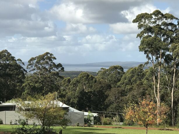 Imagen general del Hotel The Floating Forest. Foto 8