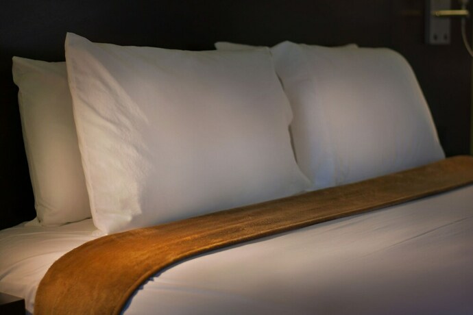 Imagen general del Hotel The Foothills Motel. Foto 12