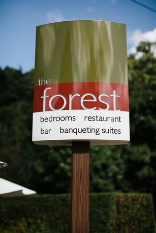 Imagen general del Hotel The Forest. Foto 2