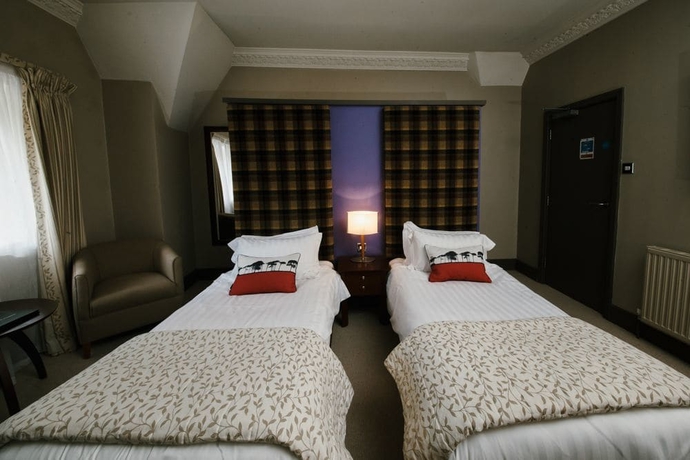 Imagen de la habitación del Hotel The Forest. Foto 13