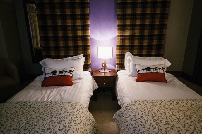 Imagen de la habitación del Hotel The Forest. Foto 15