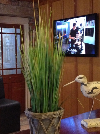 Imagen de los interiores del Hotel The Fort D'Auvergne. Foto 11