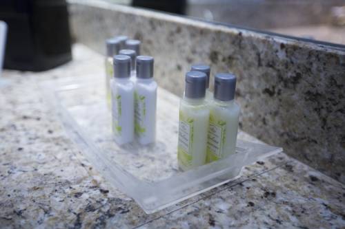 Imagen de la habitación del Hotel The Founders Inn & Spa Tapestry Collection By Hilt. Foto 3