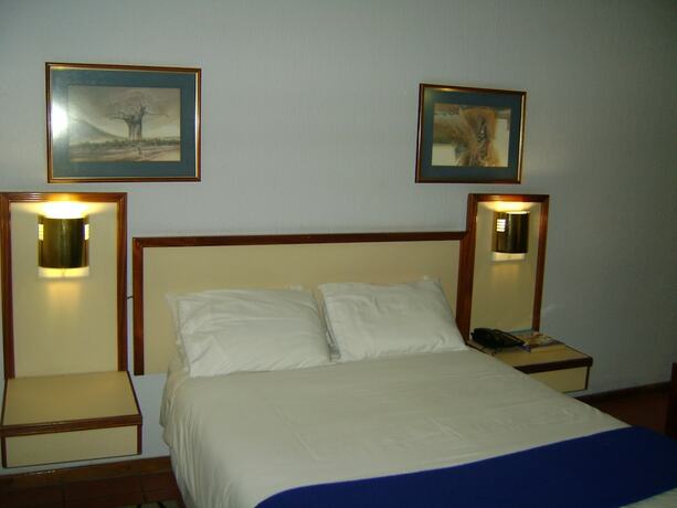 Imagen general del Hotel The Gaborone. Foto 10