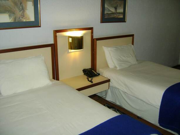 Imagen general del Hotel The Gaborone. Foto 13