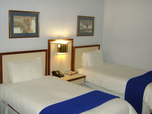 Imagen de la habitación del Hotel The Gaborone. Foto 19