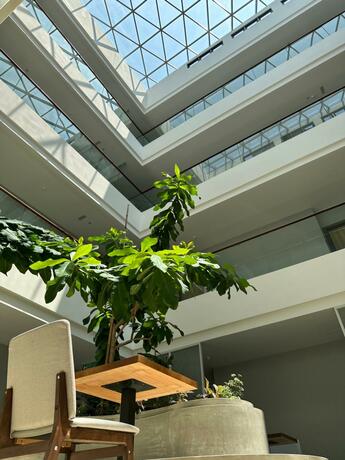 Imagen general del Hotel The Gallivant, George Town. Foto 34