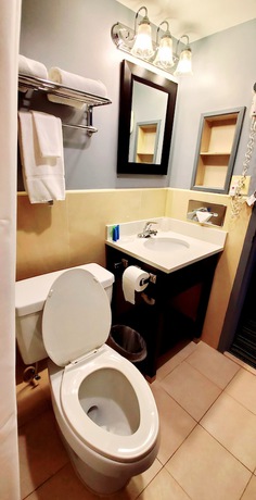 Imagen de la habitación del Hotel The Garden Executive. Foto 9