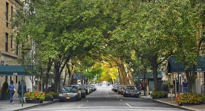 Imagen general del Hotel The Gardens Sonesta ES Suites New York. Foto 5