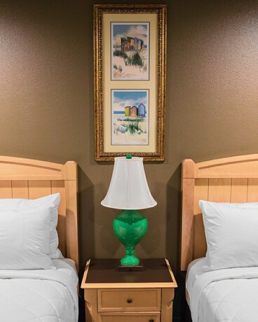 Imagen general del Hotel The Gator Den Motel. Foto 7