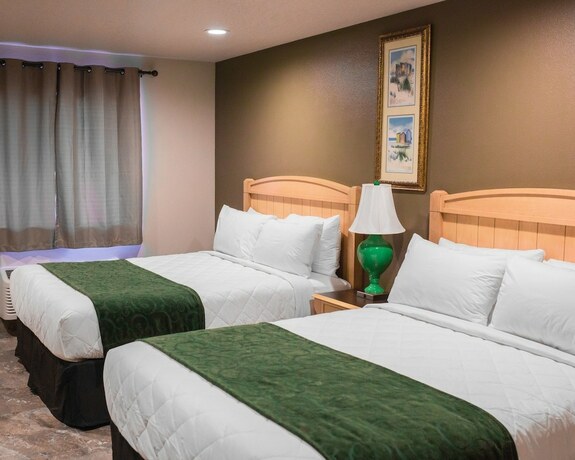 Imagen general del Hotel The Gator Den Motel. Foto 9