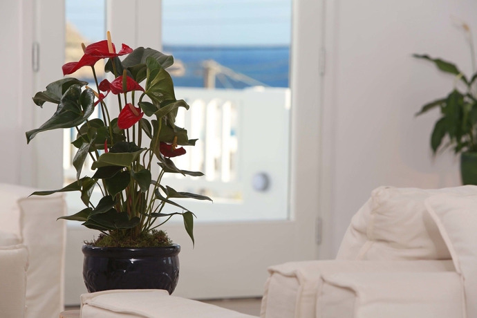 Imagen de los interiores del Hotel The George, Plati Gialos. Foto 15