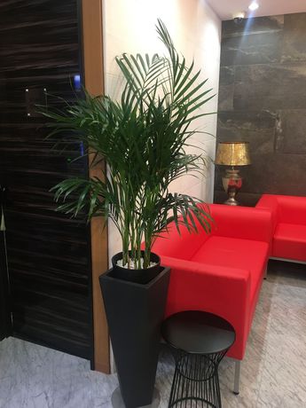 Imagen del bar/restaurante del Hotel The Global Tokyo. Foto 2