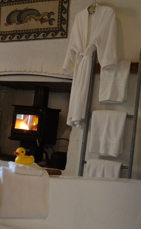 Imagen de la habitación del Hotel The Globe Inn. Foto 18