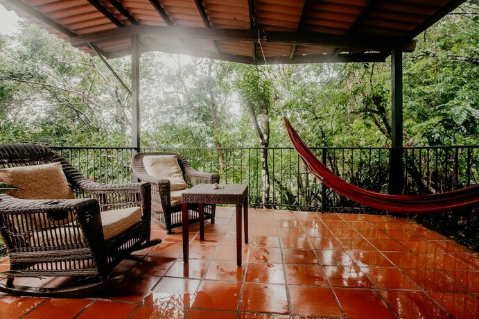 Imagen general del Hotel The Golden Frog Inn. Foto 6