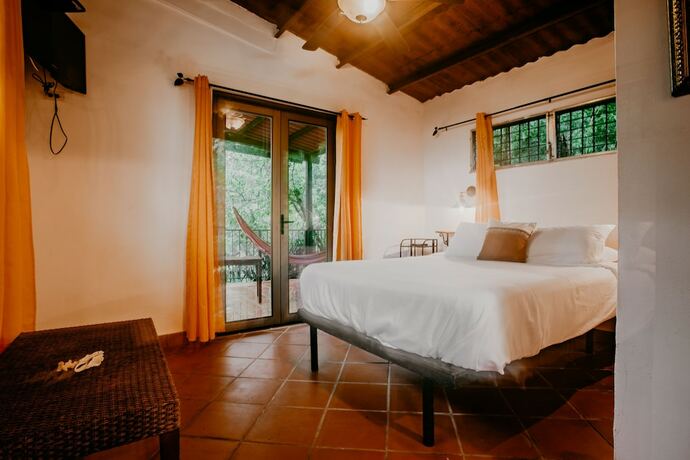 Imagen de la habitación del Hotel The Golden Frog Inn. Foto 18