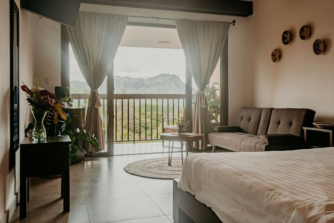 Imagen de la habitación del Hotel The Golden Frog Inn. Foto 19