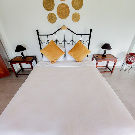 Imagen de la habitación del Hotel The Golden Frog Inn. Foto 20