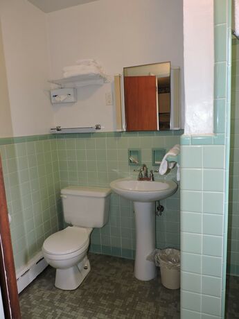Imagen general del Hotel The Golden Inn. Foto 8
