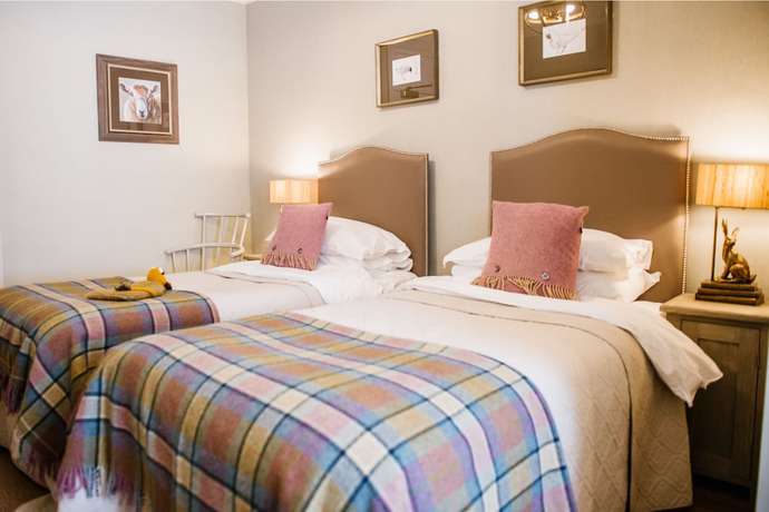 Imagen de la habitación del Hotel The Golden Lion. Foto 9