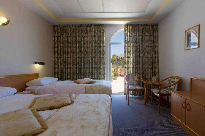 Imagen de la habitación del Hotel The Golden Walls. Foto 19