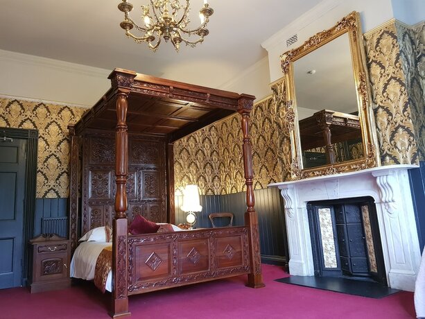 Imagen de la habitación del Hotel The Gothic Mansion. Foto 15
