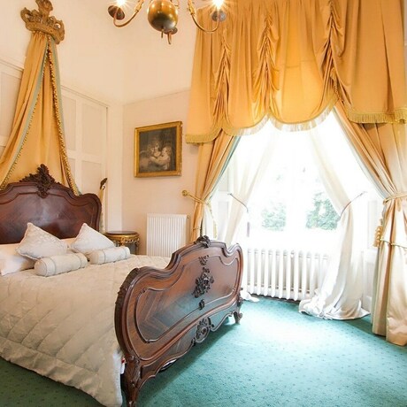Imagen de la habitación del Hotel The Gothic Mansion. Foto 16