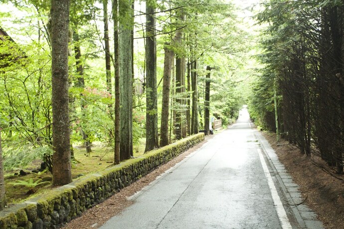 Imagen general del Hotel The Gran Resort Elegante Karuizawa. Foto 1